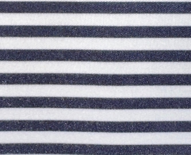 Limited Stripe Ballroom skirt