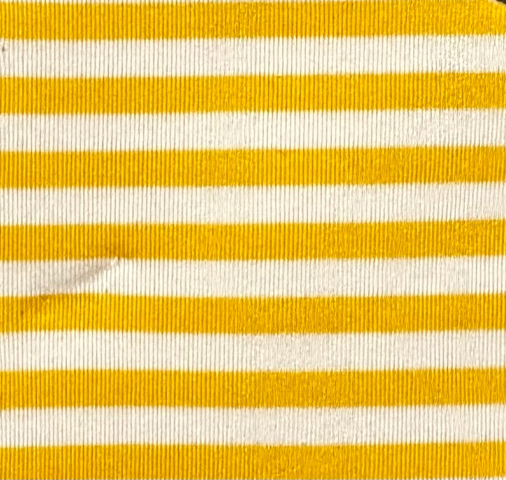 Limited Stripe Ballroom skirt