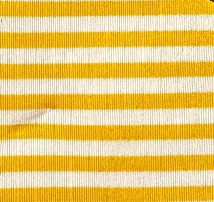 Limited Stripe Ballroom skirt